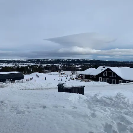 Ferienwohnung Bualie Golsfjellet Exterior foto