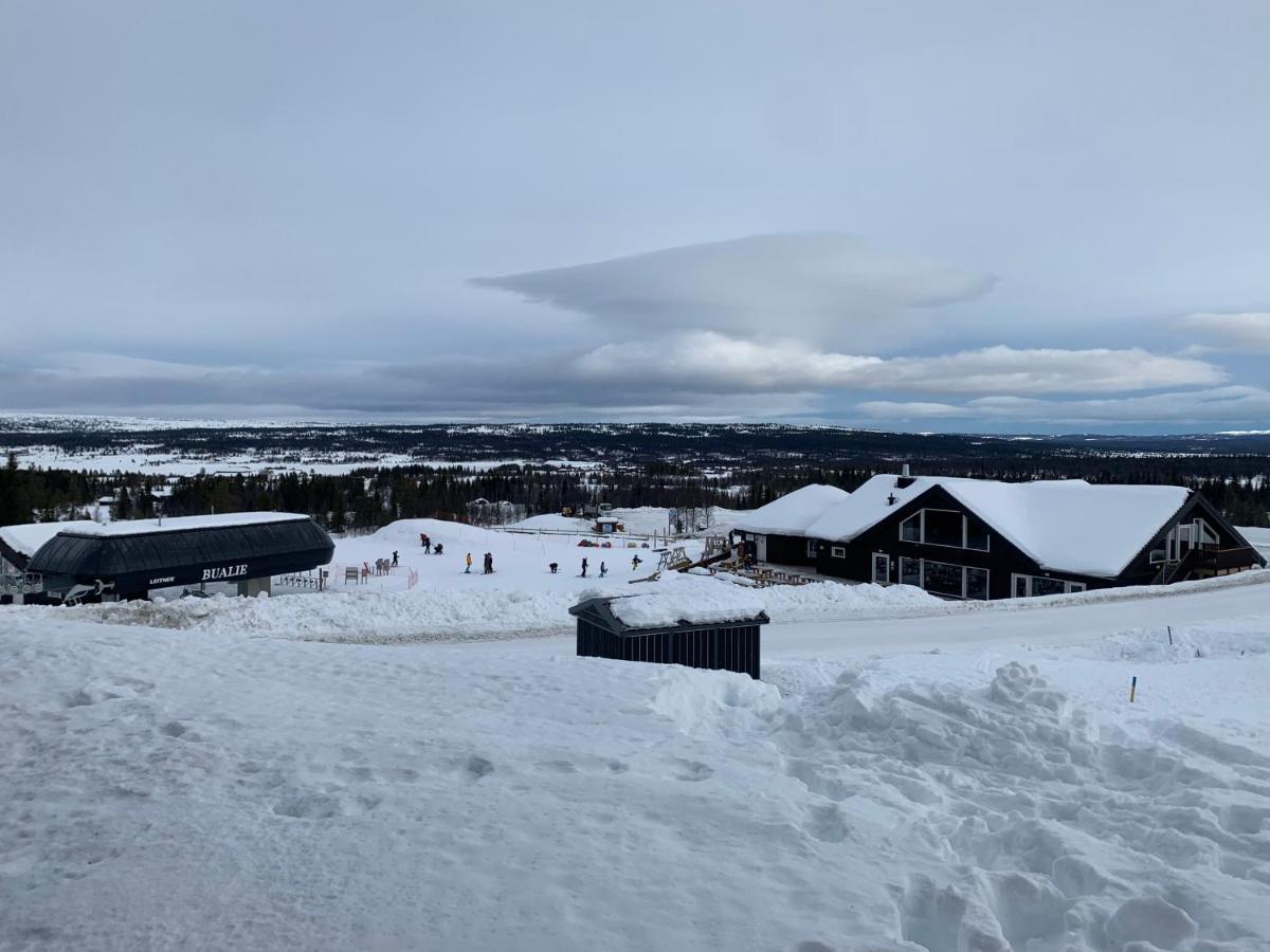 Apartment Bualie Golsfjellet