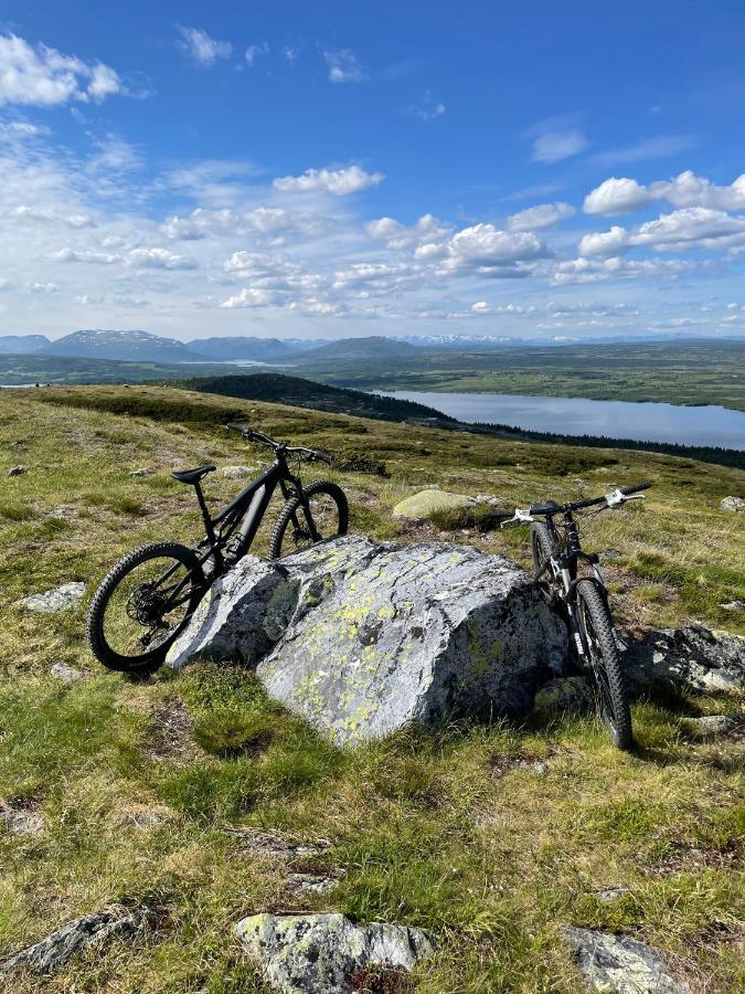 Bualie Golsfjellet *