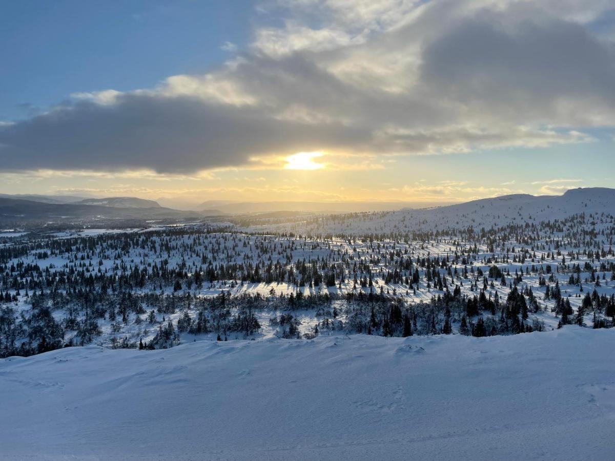 Bualie Golsfjellet