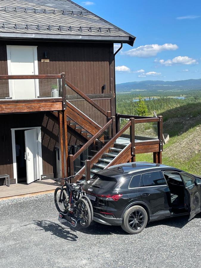 Bualie Golsfjellet Apartment Gol