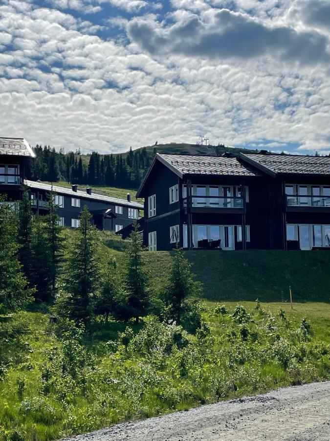 Bualie Golsfjellet Apartment