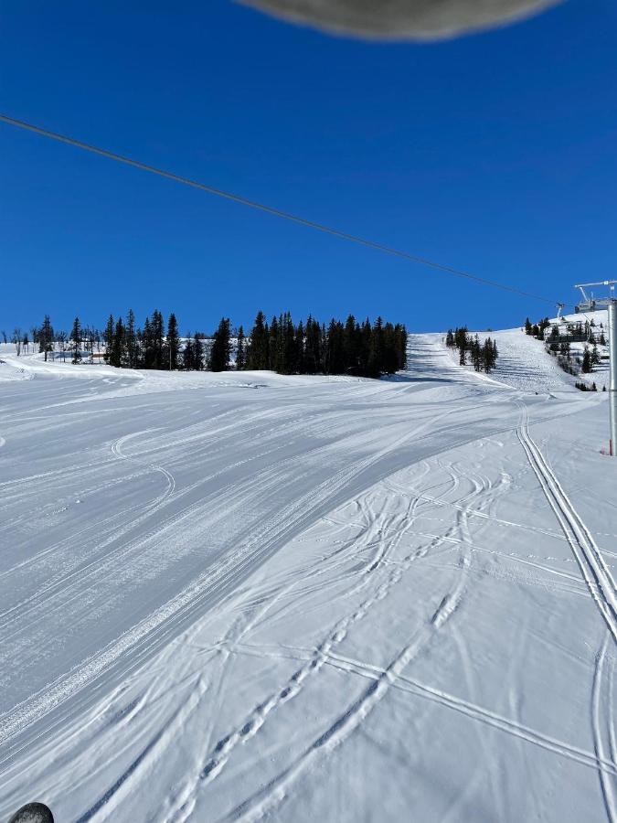Bualie Golsfjellet *